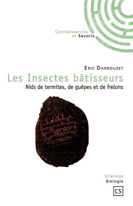 Les Insectes b&acirc;tisseurs : nids de termites, de gu&ecirc;pes et de frelons | Vari&eacute;t&eacute;s entomologiques | Scoop.it