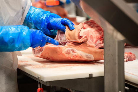 Canada. Les inspecteurs en salubrité des aliments ne sont pas épargnés | La Gazette des abattoirs | Scoop.it