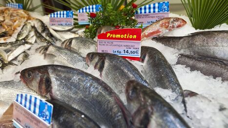 Polluants éternels : les PFAS sont aussi présents dans nos aliments comme les œufs ou le poisson | Planète DDurable | Scoop.it