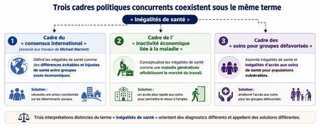 Recadrer les in&eacute;galit&eacute;s de sant&eacute; ? L'essor, l'essor et le d&eacute;clin de trois cadres politiques concurrents | Protection sociale | Scoop.it