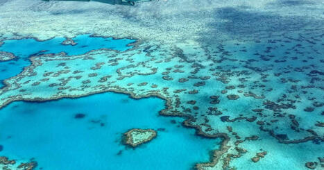 La qualit&eacute; de l&rsquo;eau de la Grande Barri&egrave;re de corail s&rsquo;am&eacute;liore, mais tout n&rsquo;est pas encore gagn&eacute; selon des scientifiques | Biodiversit&eacute; - @ZEHUB on Twitter | Scoop.it