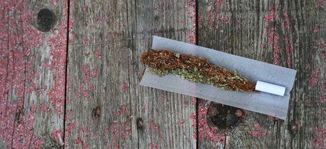 Medizinischer Cannabis: Luxemburger Staat hat Gras für 50.000 Euro gekauft | #Health #Santé #Gesundheit #Luxembourg | Luxembourg (Europe) | Scoop.it