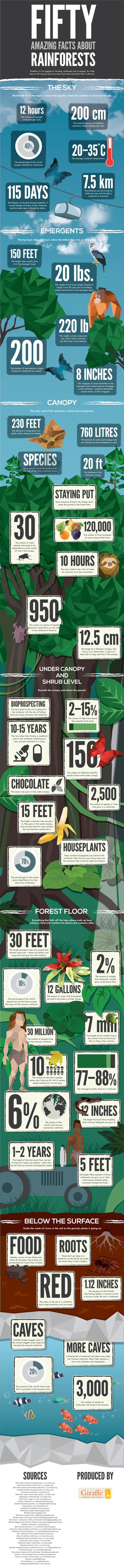 50 Amazing Facts About Rainforests [Infographic] | Rainforest CLASSROOM | Scoop.it