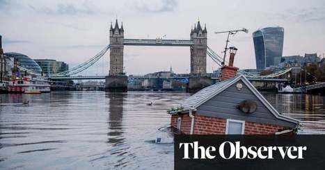 The science stories that shaped 2019 | Science | The Guardian | Science News | Scoop.it