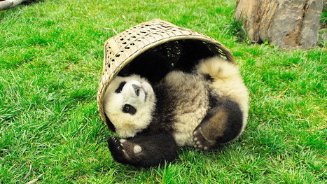 How to Let Go at the End of the Workday | Daily Magazine | Scoop.it