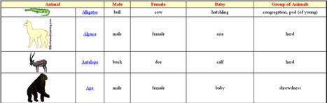 Names of Animals, Babies and Groups- EnchantedLearning.com | Human Interest | Scoop.it