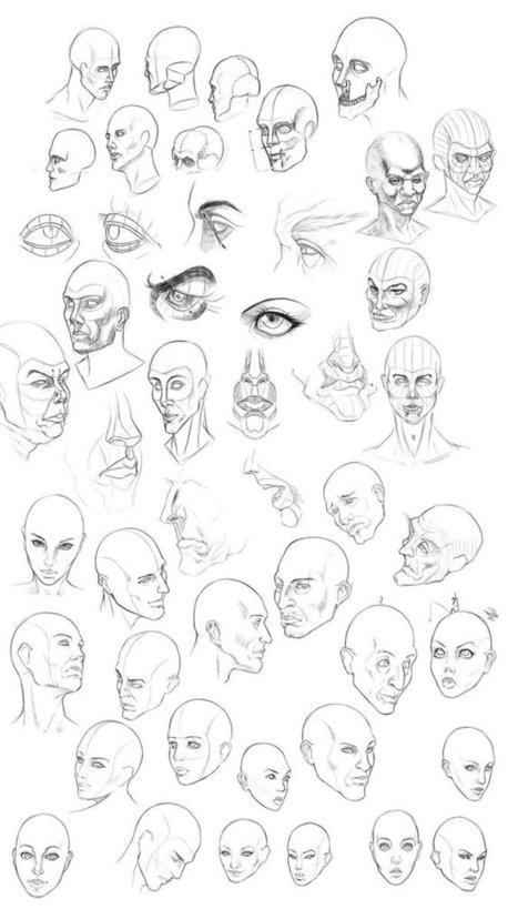 Head Construction Study Reference Guide | Drawing References and Resources | Scoop.it