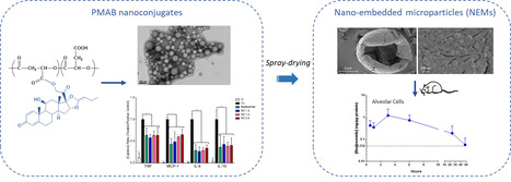 Des nanoconjugués de Budesonide pour le traitement des maladies inflammations pulmonaires | Life Sciences Université Paris-Saclay | Scoop.it