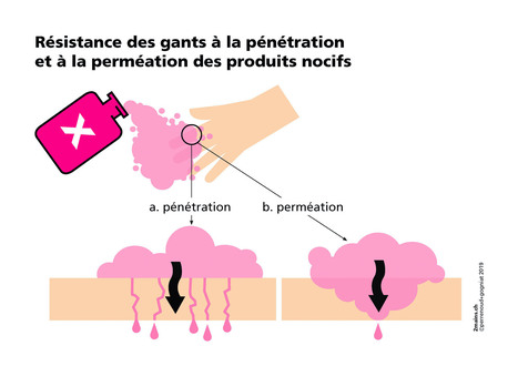 Prévention des dermatoses professionnelles | 2mains.ch | Prévention du risque chimique | Scoop.it