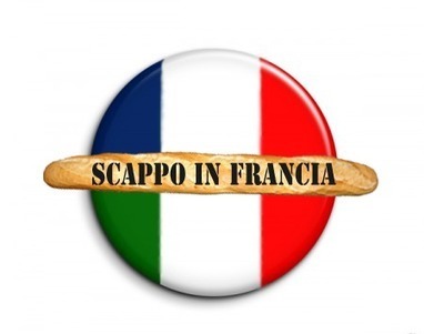 Parliamo francese: i “falsi amici” | NOTIZIE DAL MONDO DELLA TRADUZIONE | Scoop.it