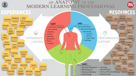 An anatomy of the Modern Learning Professional | #ModernEDU | 21st Century Learning and Teaching | Scoop.it