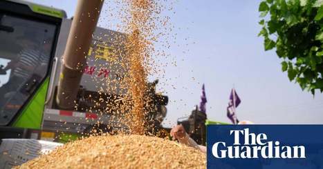 World faces worst food crisis for at least 50 years, UN warns | Society | The Guardian | GTAV AC:G Y9 - Biomes and food security | Scoop.it