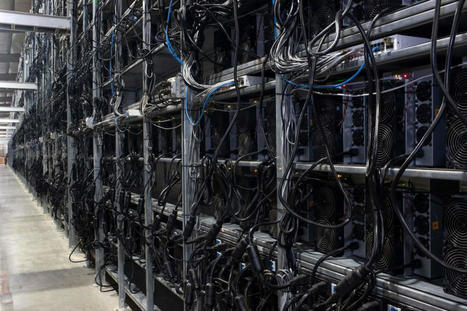 7 Cryptomining Companies Use Nearly as Much Energy as All Homes in Houston, Congressional Investigation Finds - EcoWatch.com | Agents of Behemoth | Scoop.it