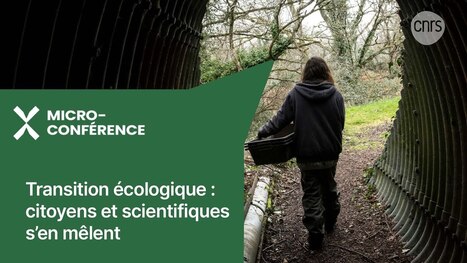 Transition écologique : citoyens et scientifiques s'en mêlent | Micro-conférence | Les échappées inattendues | EntomoScience | Scoop.it