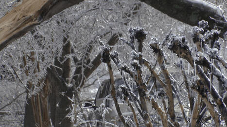 Ice storm aftermath leaves Hillsboro West End residents without power for days - WKRN | Operation Deimos | Scoop.it
