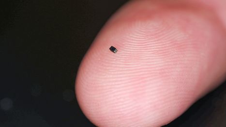 World's smallest camera is size of a grain of sand | pixels and pictures | Scoop.it