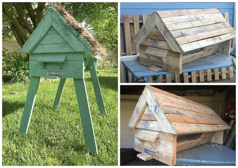 Hive With Repurposed Pallets / Ruche En Palettes | 1001 Pallets ideas ! | Scoop.it