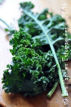 Chou frisé, chou vert ou chou kale | Légumes de saison | Scoop.it