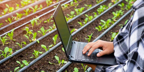 AgriDataSpace : construire l’espace européen de partage de données pour l’agriculture - Vitagora | Pour innover en agriculture | Scoop.it