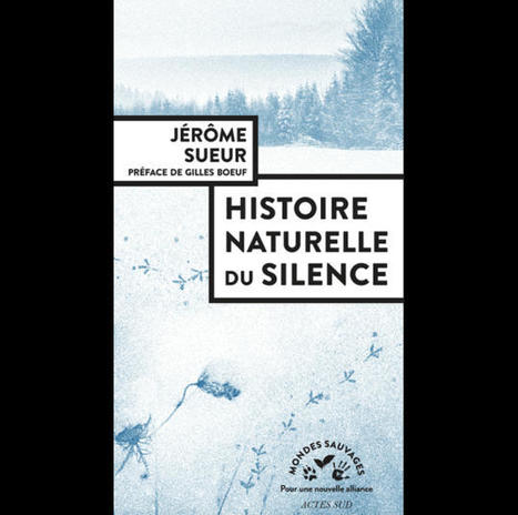 Histoire naturelle du silence | L’Institut de Systématique, Évolution, Biodiversité | Variétés entomologiques | Scoop.it