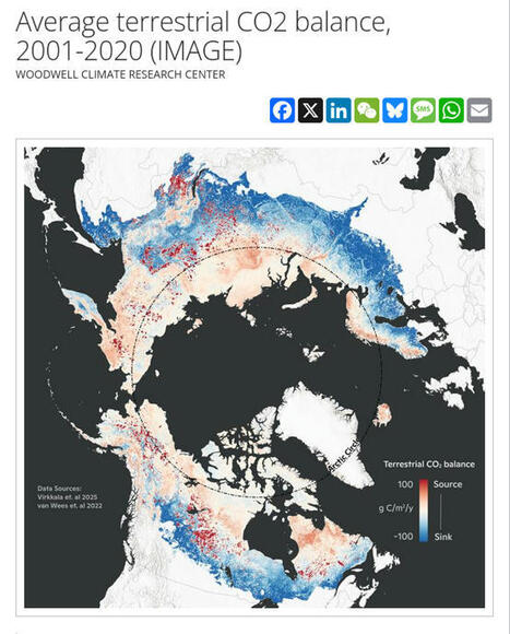 Incendies : l’Arctique émet plus de CO2 qu’elle n’en stocke | Toxique, soyons vigilant ! | Scoop.it