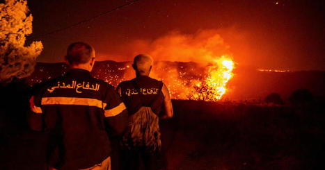 Fires in northern Lebanon caused by high temperatures, winds | CIHEAM Press Review | Scoop.it