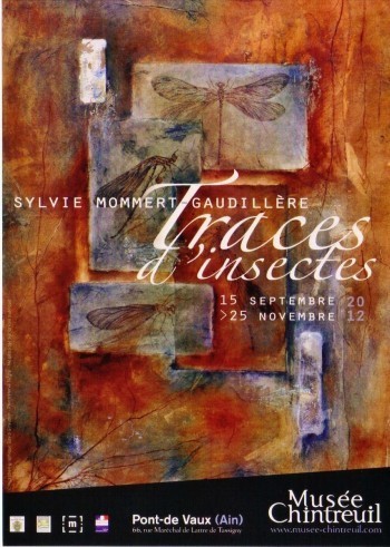 Traces d'insectes, de Sylvie Mommert | Musée Chintreuil (Ain) | Variétés entomologiques | Scoop.it