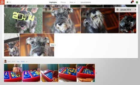 Google+ (Plus): El Mejor Servicio Fotográfico. 7 razones para elegir a Google+ por encima del resto | TIC & Educación | Scoop.it