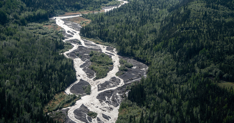 Un guide technique pour tout savoir des rivi&egrave;res en tresse | ECOLOGIE - ENVIRONNEMENT | Scoop.it