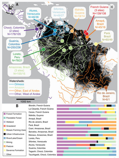 Le moustique Anopheles darlingi, vecteur principal du paludisme en Am&eacute;rique du Sud, &eacute;volue pour s&rsquo;adapter aux insecticides | EntomoNews | Scoop.it