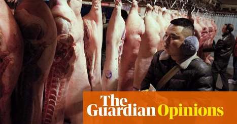 Windfall for US pork producers shows one man's crisis is another's opportunity | Gene Marks | Business | The Guardian | International Economics: IB Economics | Scoop.it