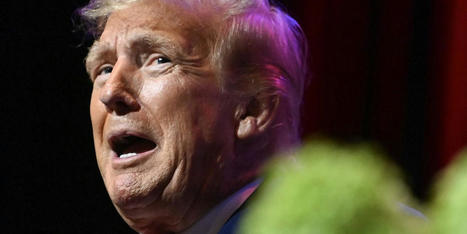 'Major blow': Judge finds Trump liable in New York fraud case - Raw Story | Backstabber Watch | Scoop.it