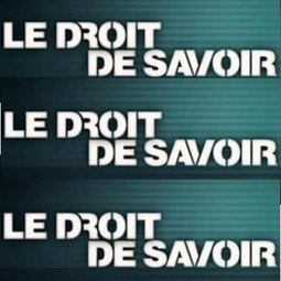 Cameroun : Appel à contribution pour les Écoles rurales électroniques en Langues africaines (ERELA) | Metaglossia: The Translation World | Scoop.it