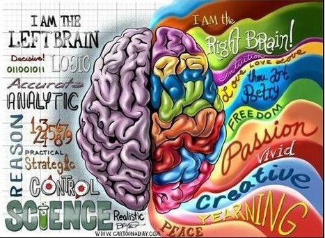 Right - Left Brain... | omnia mea mecum fero | Scoop.it