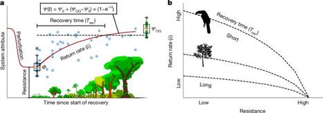 Biodiversity resilience in a tropical rainforest | &Eacute;cosyst&egrave;mes Tropicaux | Scoop.it