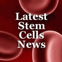 Adult Stem Cell Treatments - Will your Insurance Pay for it ? | Adult Stem Cells Repair Body | Scoop.it