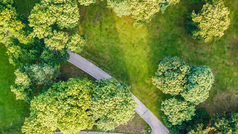 Driving Sustainable Construction: Insights from the 2025 Barometer | Tribunes | Scoop.it