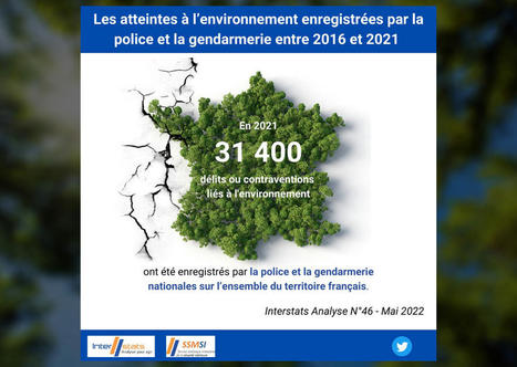 La moitié des infractions environnementales commises dans les communes rurales | Veille juridique du CDG13 | Scoop.it