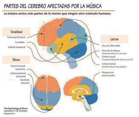 Los efectos de la música en nuestro cuerpo según la ciencia | NeuroPsicoEducación al Día | Scoop.it