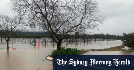 NSW floods: ‘Farmers are resilient’ but six years of hardship test strength as clean-up effort begins | Stage 6 HSC Geography ( Current syllabus) | Scoop.it