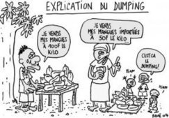 Destruction de l'agriculture africaine par un dumping sur les produits agricoles | Questions de développement ... | Scoop.it