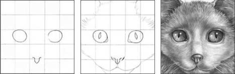 How to Draw a Cat | Drawing and Painting Tutorials | Scoop.it