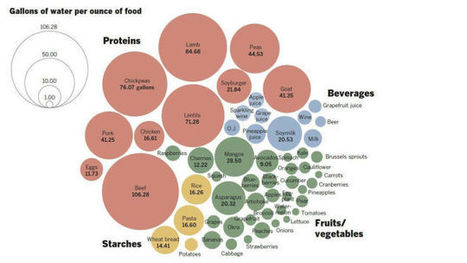 A Chart Showing You How Much Water It Takes To Grow All The Food You Eat | Stage 4 Water in the World | Scoop.it