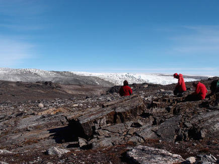 Scientists find 3.7 billion-year-old fossil, oldest yet | Aux origines | Scoop.it