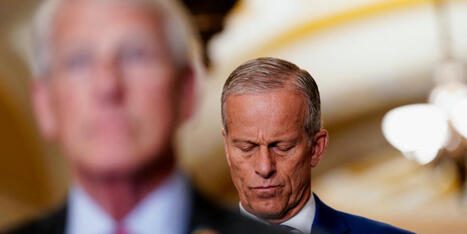 24 House Republicans beg Senate to reverse 'especially problematic' move - Raw Story | Backstabber Watch | Scoop.it
