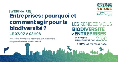 [Webinaire] Entreprises : pourquoi et comment agir pour la biodiversité ? | Biodiversité | Scoop.it