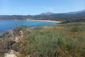 Appel à candidature pour le développement d’une activité agricole sur des terrains appartenant au Conservatoire du littoral, Site de Puntiglione (2A) | Biodiversité | Scoop.it