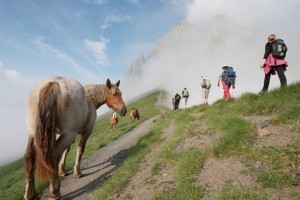 L’été dans les Pyrénées, toutes les nouvelles formes de la randonnée - Pyrenees.com | Vallées d'Aure & Louron - Pyrénées | Scoop.it