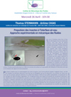 Propulsion des insectes à l’interface air-eau - Approche expérimentale en mécanique des fluides | Mécanique des fluides | Scoop.it