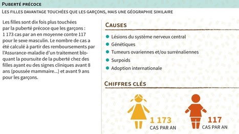 Pics de pubert&eacute; pr&eacute;coce et d&rsquo;anomalies g&eacute;nitales | Toxique, soyons vigilant ! | Scoop.it